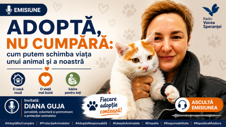 Adoptă, nu cumpăra: cum putem schimba viața unui animal și a noastră